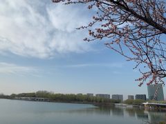 -大兴滨河森林公园