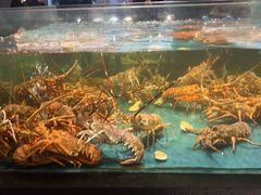 -龙宴海鲜城(经中路店)