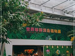 -北京植物园-展览温室
