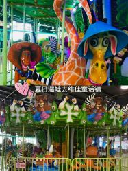 -维佳童话镇演出现场(徐东店)