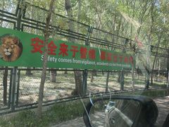 -秦皇岛野生动物园