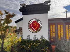 -莲花岛景区