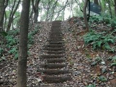 -马王堆汉墓遗址