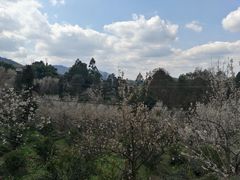 -樱桃山旅游景区