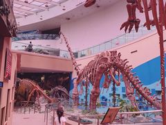 -陕西自然博物馆