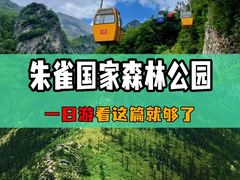-朱雀国家森林公园