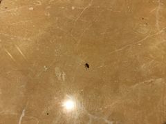 -凤凰印象公寓(深圳罗湖大剧院东门店)