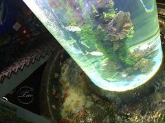 -芽庄珍珠岛游乐园