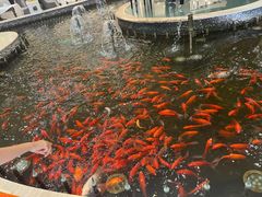 -碧中海汤泉汗蒸酒店