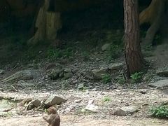 -木兰云雾山