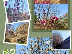 -张学良旧居陈列馆