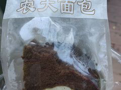 -东北农业大学