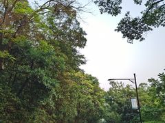 -广州市白云山风景名胜区