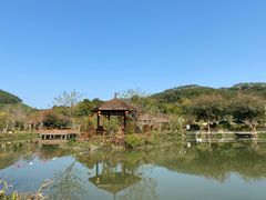-林丰温泉度假山庄