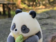 -都江堰中华大熊猫苑