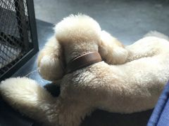 -静香HOUSE·全时段融合餐厅(七星欢乐颂店)