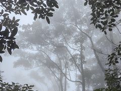 -缙云山景区