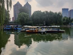 -团结湖公园