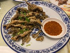 小黄鱼-高坎一品甲鱼庄(两河店)