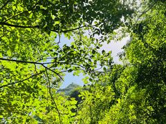 -野三坡百里峡景区