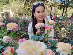 -人民公园(罗湖区)