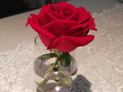 -伊斯坦布尔土耳其清真咖啡餐厅