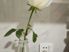 -FEI FEI FLOWER鲜花店·气球派对·宝宝宴布置(虹口德必运动Loft店)