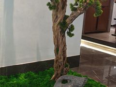 -松鹤楼·非遗·苏帮菜(融科店)