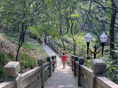 -句容茅山景区