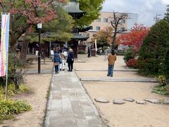 -医王山·飞騨国分寺
