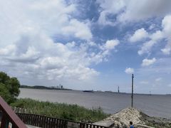 -上海滨江森林公园