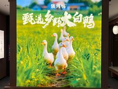 -张烤鸭·川菜·非遗冒烤鸭(青石桥店)