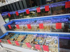 -金海湾海鲜排档(朱家尖店)