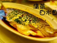 -海江5号