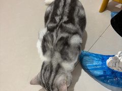 -平行世界·猫咖(首经贸店)