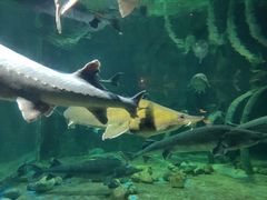 -华夏文旅海洋公园