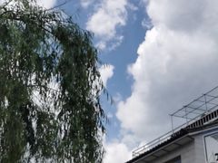 -再回首鸡肉米线(人民路一店)