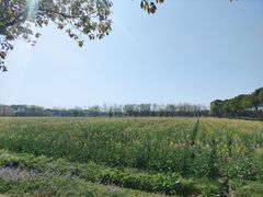-昆山国家农业示范区大唐生态园-售票