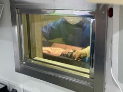 -乐派堂宠物医院·猫友好· 心脏科(东街店)