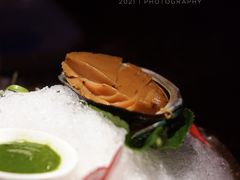 椒麻冰鲍鱼-映水芙蓉(上海万象城店)