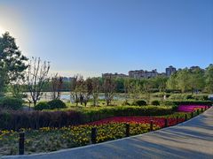 -马家湾湿地公园