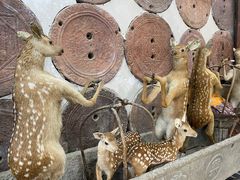 -乔家满族八大碗(流水沟店)