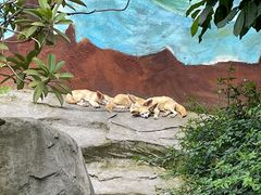 -乐和乐都主题乐园