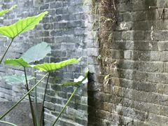 -黄埔古港
