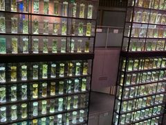-广东中医药博物馆