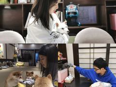 -逗柴咖啡屋·狗咖猫咖宠物桌游