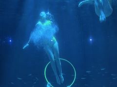 -海合安成都极地海洋公园