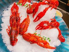 -甄御•海鲜新青岛菜(麦岛店)