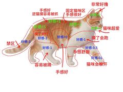 -立德24H动物医院·夜诊·转诊中心·1.5T核磁共振(海珠店)