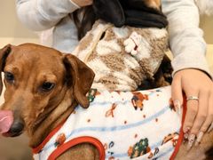 -和它·交个朋友·狗咖猫咖(爱琴海店)